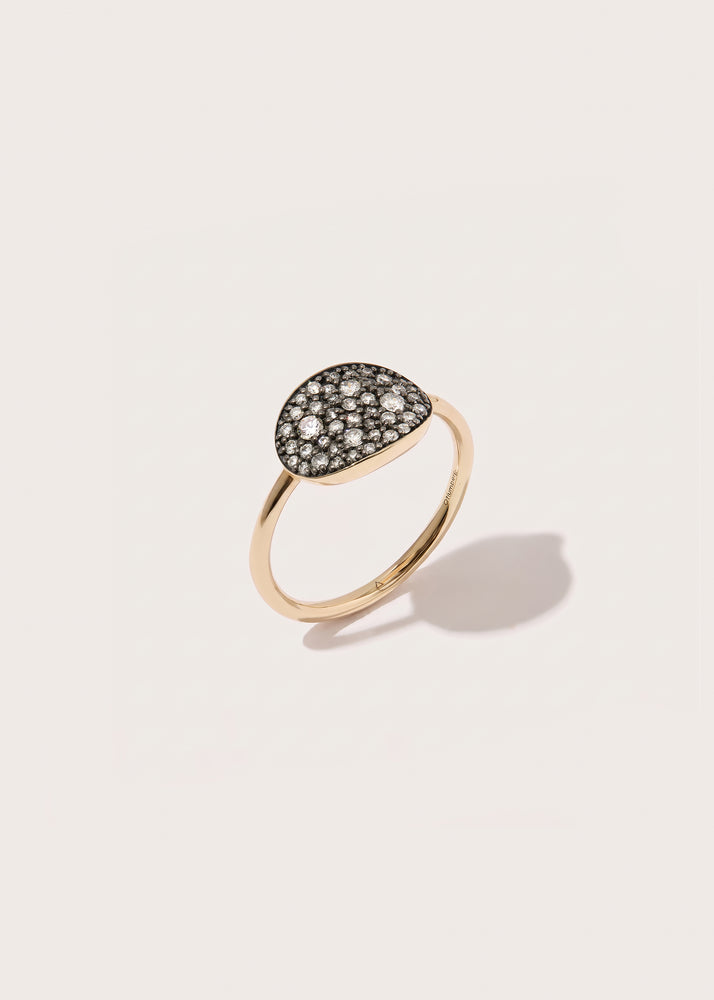 Midnight Diamond Signet Ring