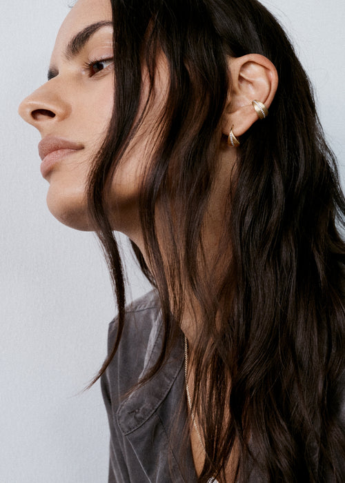 Satin Pave Roscida Hoops