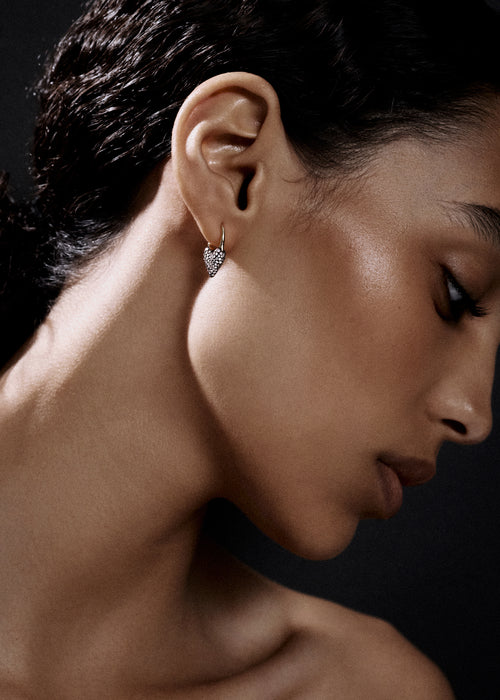 Midnight Diamond Roscida Heart Earrings